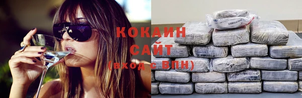 стаф Абинск