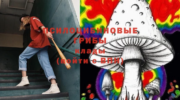 гидра Пересвет