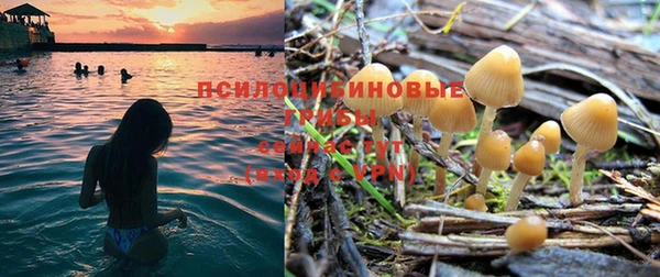 соль ск Пестово