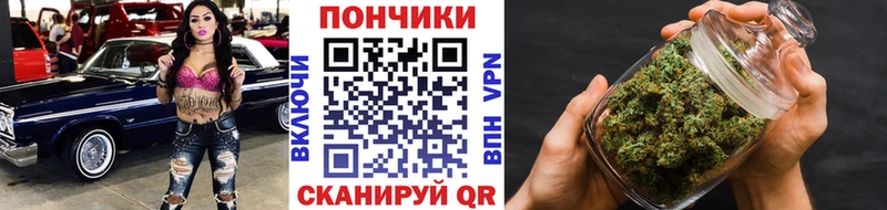 Конопля OG Kush  Южа 